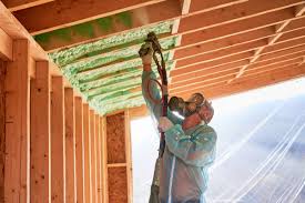 Best Eco-Friendly or Green Insulation Solutions  in Pass Christian, MS